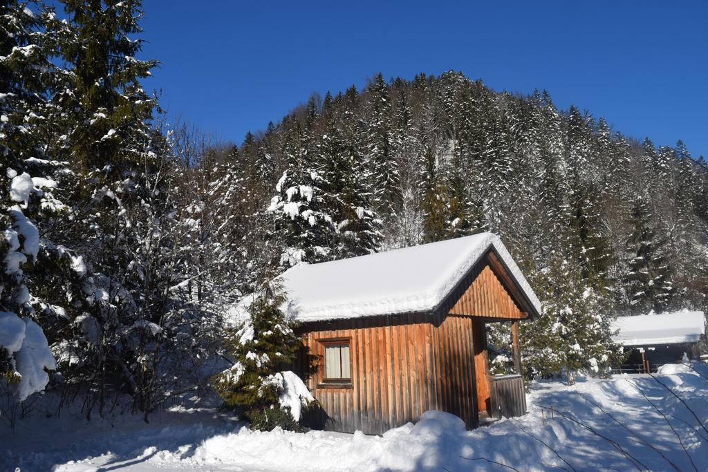 Camping Und Chalet Saggraben Palfau Εξωτερικό φωτογραφία